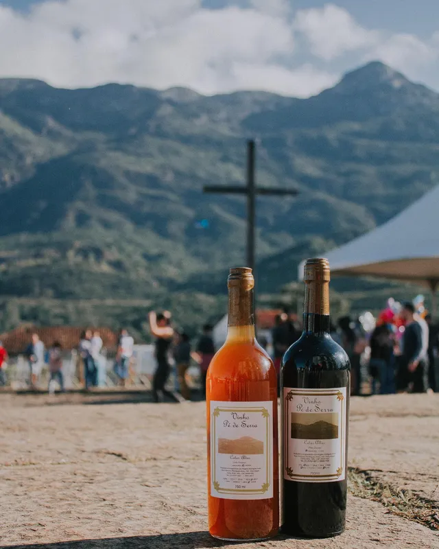 Vinhos branco e tinto na Festa do Vinho